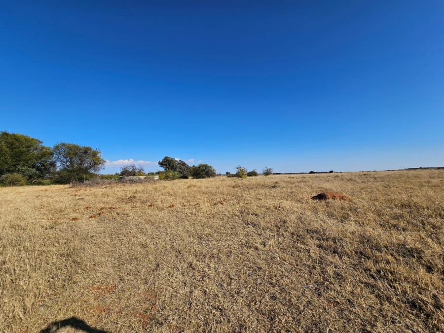 11 Bedroom Property for Sale in Bloemfontein Rural Free State